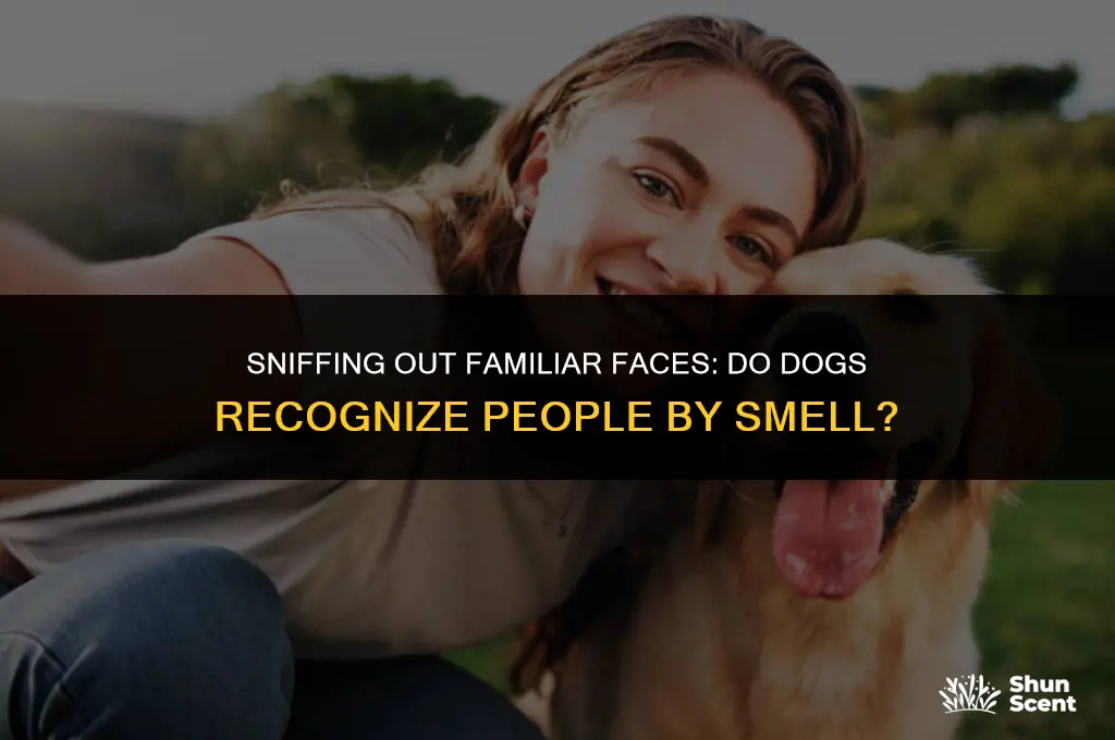 do dogs recognize people by smell