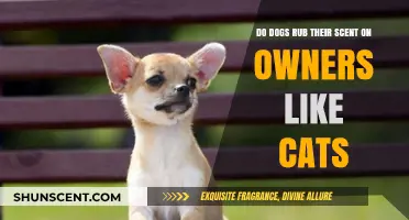Do Dogs Mark Owners with Scent Like Cats? Exploring Canine Behavior
