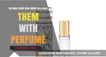 Why Dogs Scent Roll When Spritzed With Perfume