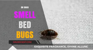 Can Canines Detect Bed Bugs? The Surprising Truth
