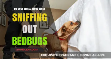 Can Canines Detect Bedbug Infestations by Scent Alone?