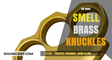 Canine Sense of Smell: Detecting Brass Knuckles