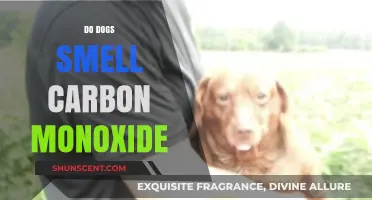 Canine Carbon Monoxide Detection: Fact or Fiction?