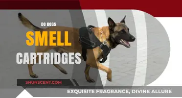 Canine Cartridge Detection: Do Dogs Smell Gunpowder?
