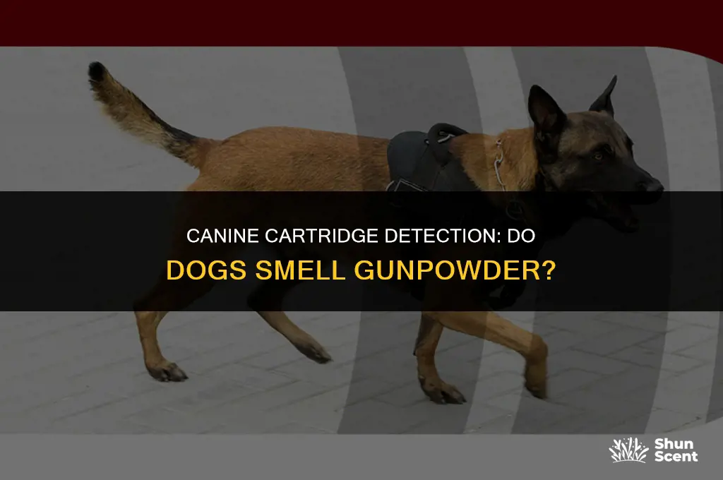 do dogs smell cartridges