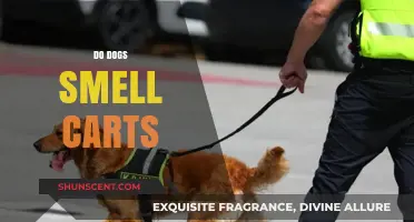 Sniffing Out the Truth: Do Dogs Really Smell Carts?