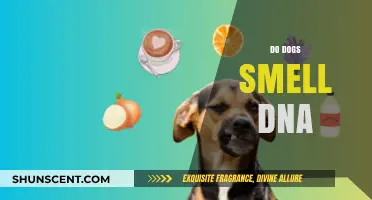 Unraveling the Mystery: Can Dogs Really Smell DNA?