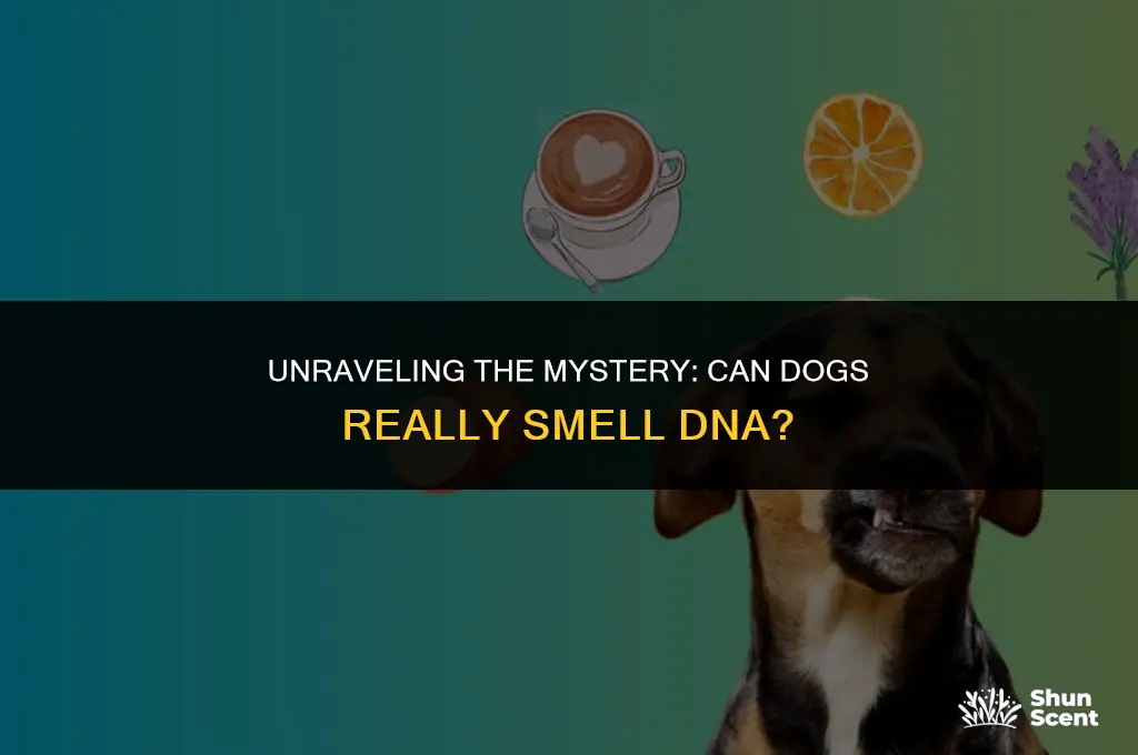 do dogs smell dna