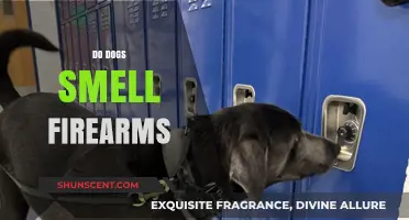 Can Canines Detect Firearms? The Science Behind Their Sniffing Skills