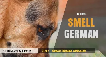 Do Dogs Have a Unique Sense of Smell for German?