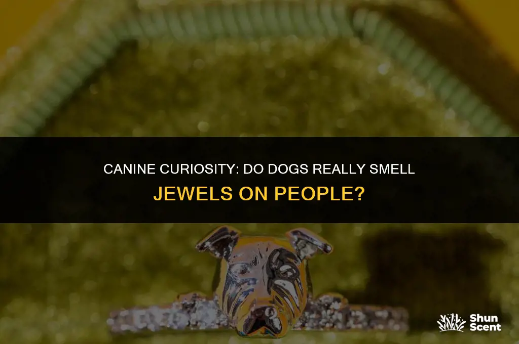 do dogs smell jewls on people