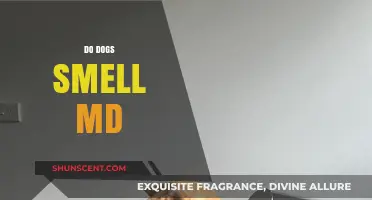Do Dogs Smell MD? Unveiling the Canine Sense of Medical Detection
