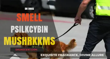 Canine Olfactory Detection: Do Dogs Smell Psilocybin Mushrooms?