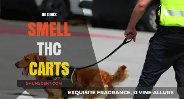 Canine Noses and Cannabis: Do Dogs Detect THC Carts?