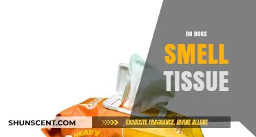Canine Sense of Smell: Do Dogs Really Smell Tissue?