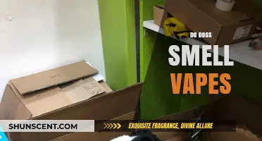 Can Canines Catch a Whiff? The Truth About Dogs and Vapes