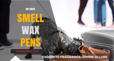 Do Dogs Smell Wax Pens? Unveiling the Canine Sense of Smell