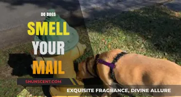 Sniffing Out Secrets: Do Dogs Really Smell Your Mail?