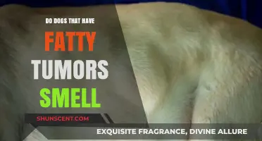 Exploring the Connection: Do Dogs with Fatty Tumors Emit a Distinct Smell?