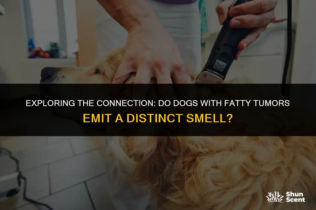 do dogs that have fatty tumors smell