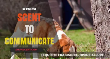 Unleashing Secrets: How Dogs Use Scent for Communication