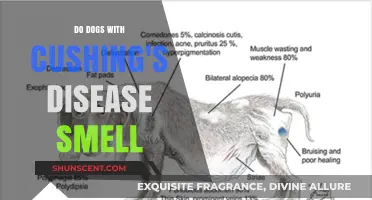 Exploring the Scent Changes in Dogs with Cushing's Disease