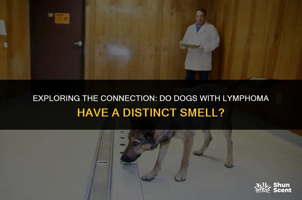 do dogs with lymphoma smell