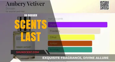 Do Dossier Scents Last? A Comprehensive Review of Longevity