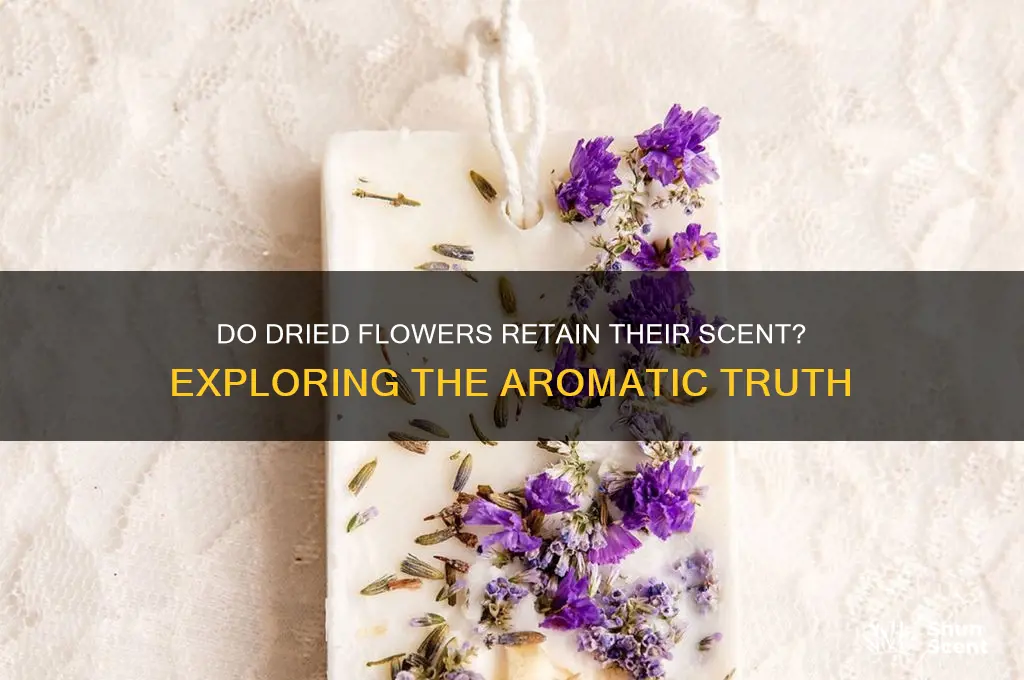 do dried flowers have a scent