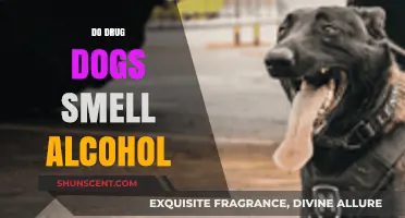 Canine Detection: Do Drug Dogs Sniff Out Alcohol Too?