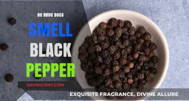 Sniffing Out the Truth: Do Drug Dogs Detect Black Pepper?