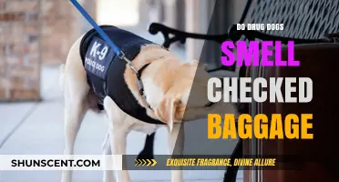 Sniffing Out Contraband: The Truth About Drug Dogs and Checked Baggage