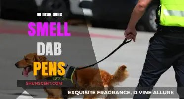 Can Drug Dogs Detect Dab Pens? The Truth Revealed