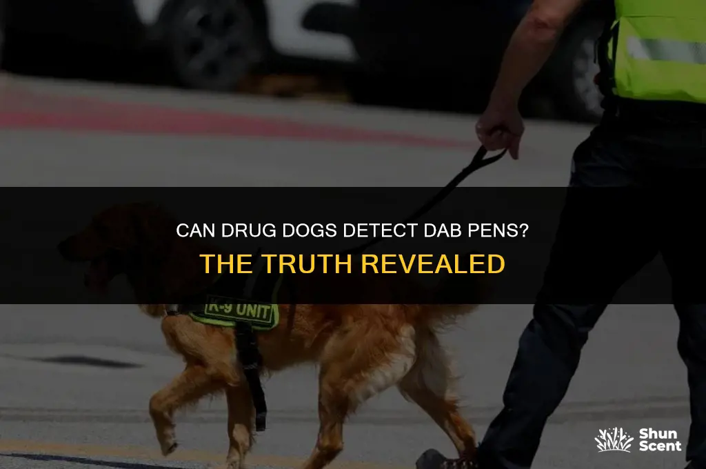 do drug dogs smell dab pens