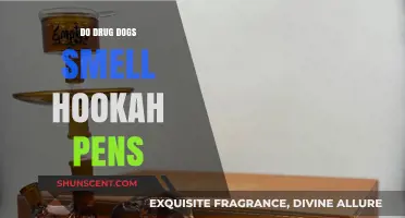 Can Drug Dogs Detect Hookah Pens? The Truth Revealed