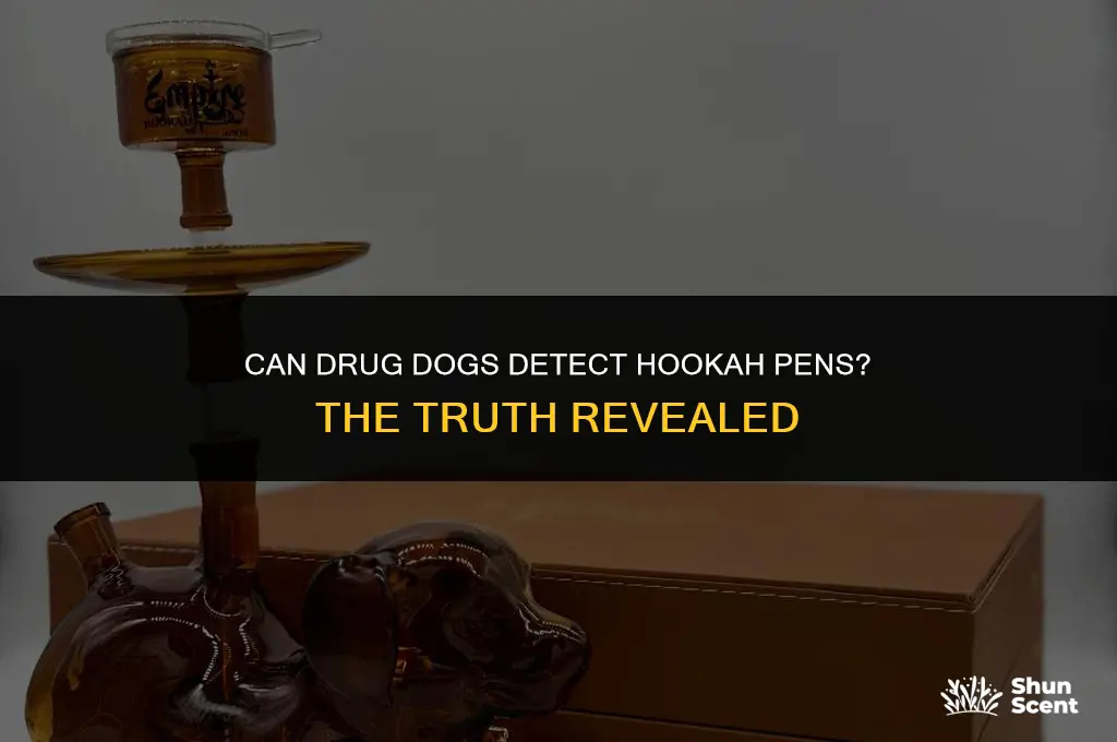 do drug dogs smell hookah pens