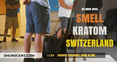Can Drug Dogs Detect Kratom in Switzerland? Facts and Myths
