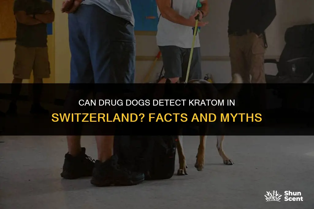 do drug dogs smell kratom switzerland