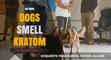 Canine Detection: Do Drug Dogs Identify Kratom?