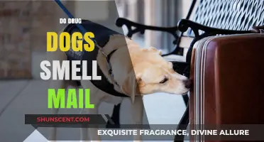 Sniffing Out Secrets: Do Drug Dogs Really Smell Mail?
