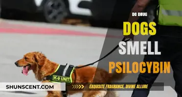 Can K9 Units Detect Psilocybin Mushrooms? The Science Behind It