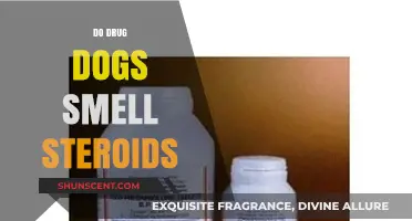 Sniffing Out the Truth: Can Drug Dogs Detect Steroids?