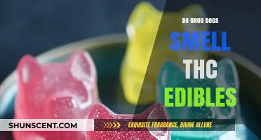 Can Drug Dogs Detect THC Edibles? A Comprehensive Guide