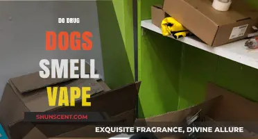 Can Drug Dogs Detect Vapes? The Truth Behind Their Sniffing Abilities