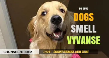 Can Drug Dogs Detect Vyvanse? Exploring the Science Behind It