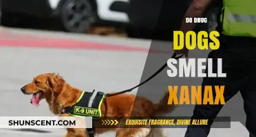 Can K9 Units Detect Xanax? Unveiling the Truth Behind Drug Dogs' Abilities