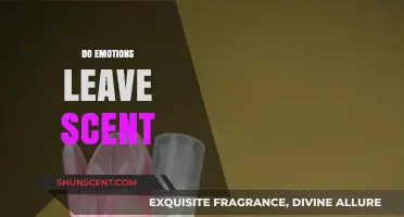 Can Emotions Be Smelled? Exploring the Science of Scent and Feelings