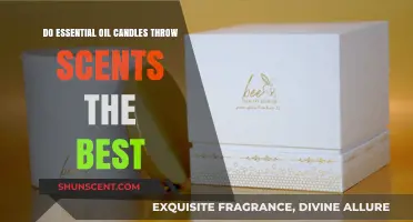Essential Oil Candles: Superior Scent Throw or Just a Myth?