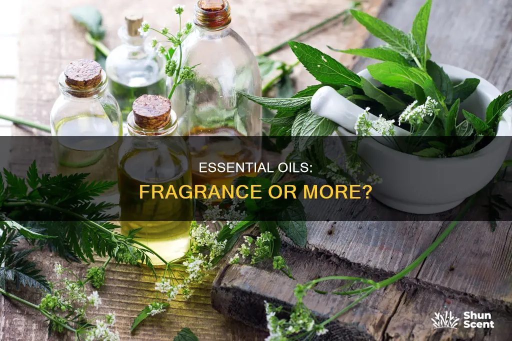 do essential oils have fragrance