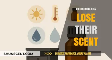 Do Essential Oils Lose Their Scent? Understanding Aromatic Longevity